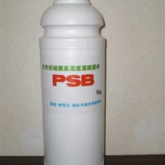 PSB