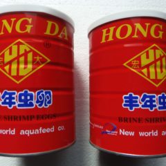 中国産ブラインシュリンプエッグス【販売休止中】
